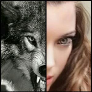 Meet your Posher, Kandi